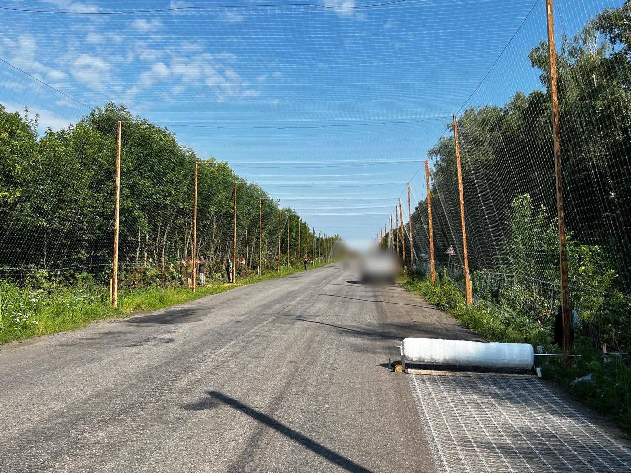 161 кілометр антидронових тунелів облаштували на Сумщині: скільки ще планують