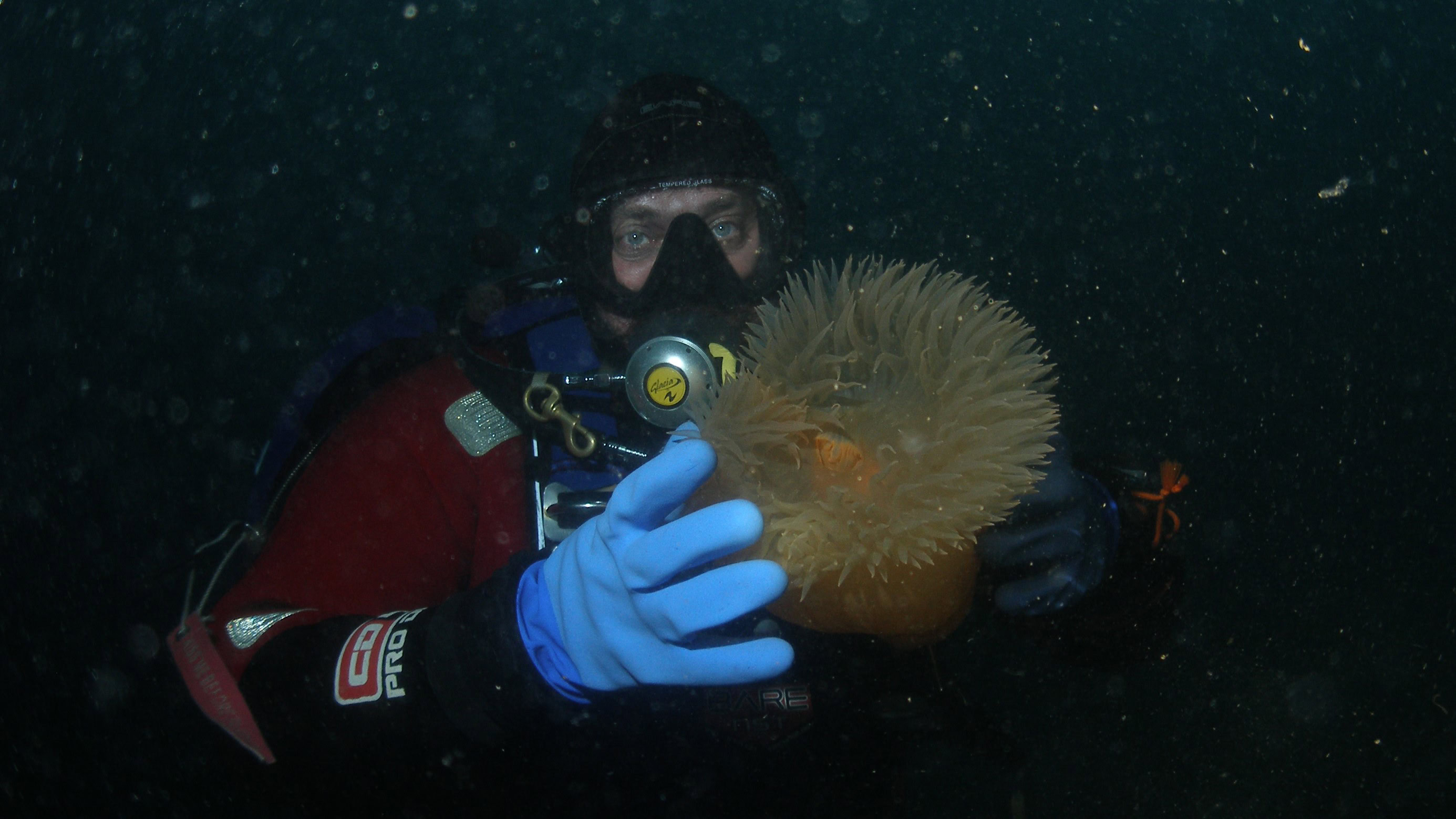 Станція «Вернадський»: український хутір на південному полюсі