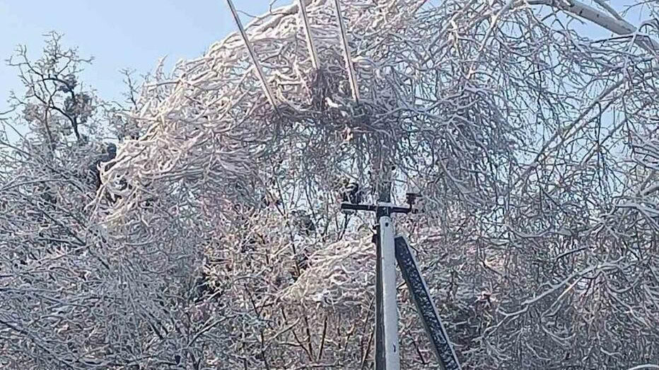 Зникнуть морози, але не ворожі удари: Омельченко про перспективи енергетики