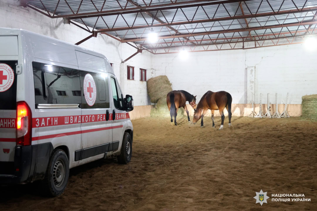 Спецоперація порятунку тварин: 19 коней евакуювали з прифронтової громади Харківщини
