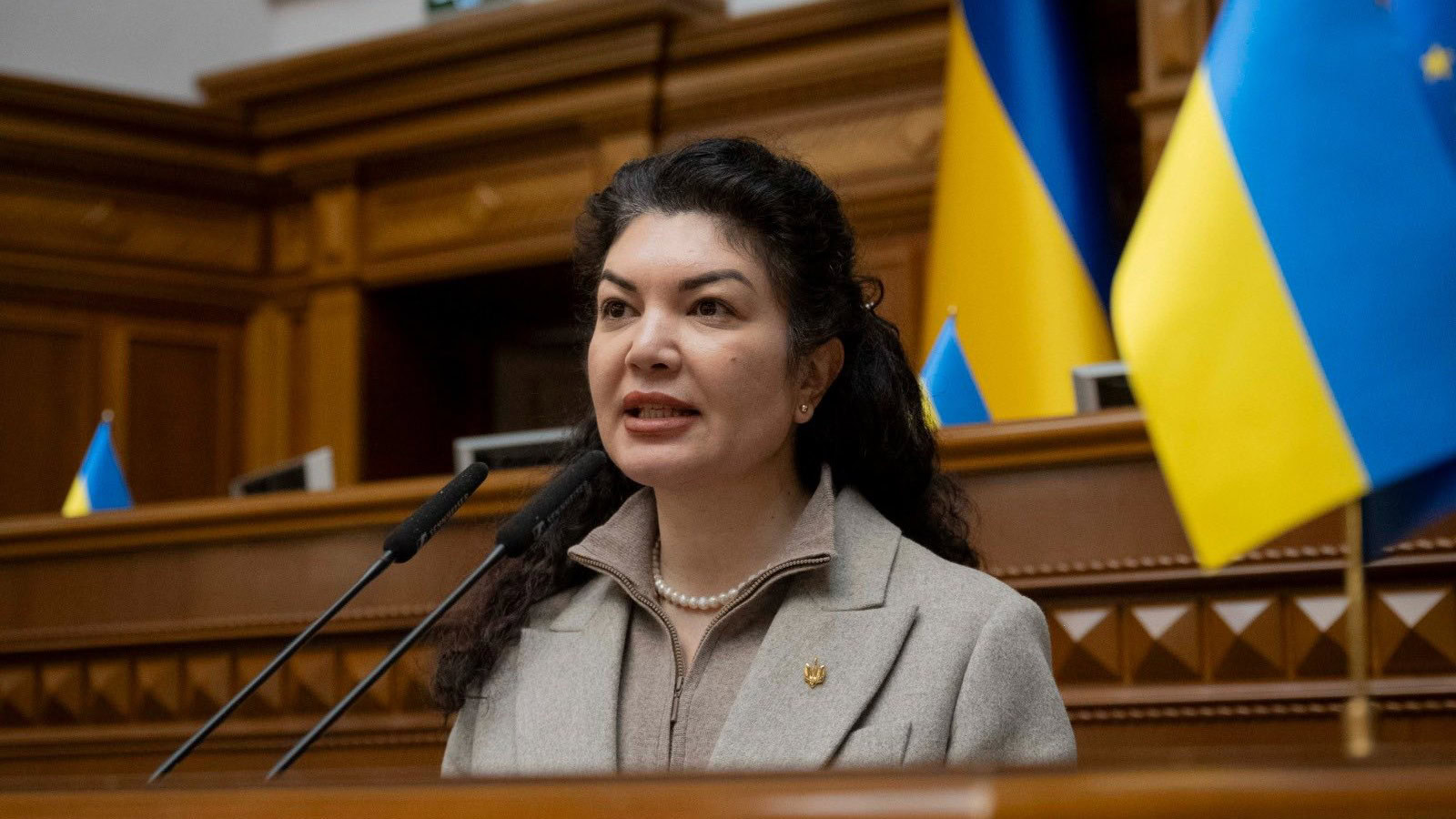 Менторство дає медіарозголос — Ташева про міжнародне адвокаційне менторство українських політв’язнів з Криму