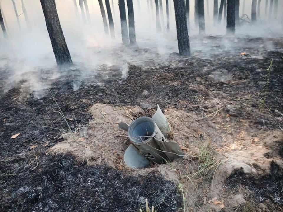 Унікальні види під загрозою зникнення: як війна руйнує природу України