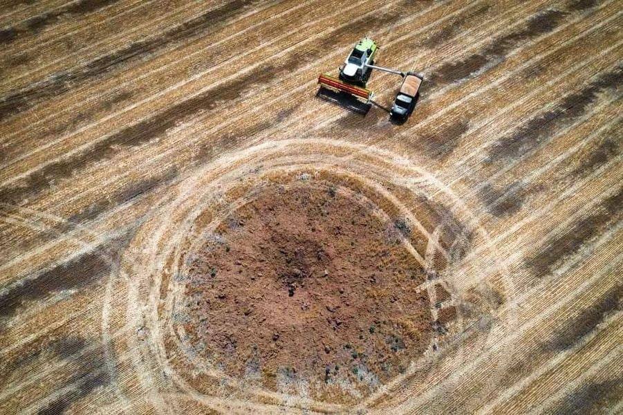 Від морозів до мінування: як війна і погода впливають на агросектор Харківщини