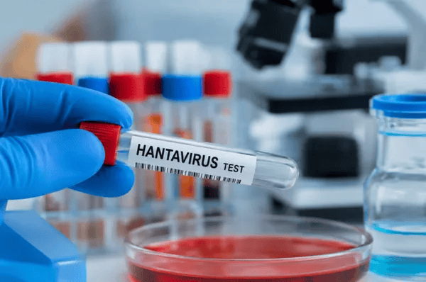 Хантавірус на Харківщині: у всіх районах області є природні осередки інфекції