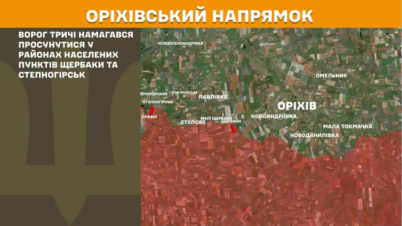 «Це не тільки маскування, це хороший захист»: як «зеленка» ускладнює протидію російським наступам
