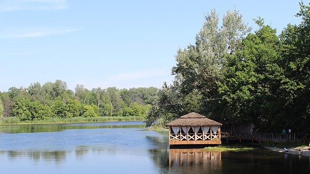 Гомільшанські ліси, Коробів хутір і Зміївські кручі: де відпочити в Зміївській громаді